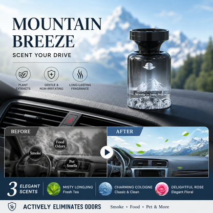 110ml car air freshener — source product image