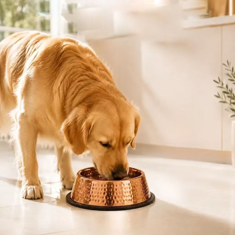Hammered copper-finish pet bowl