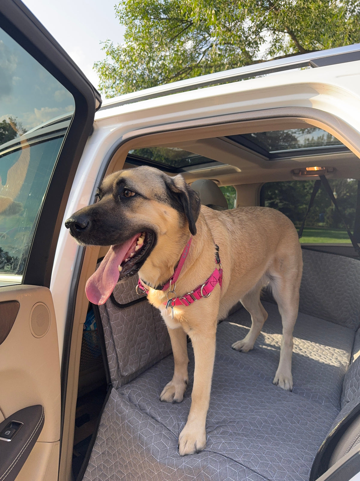 Hard-bottom pet car seat cover — original product photograph