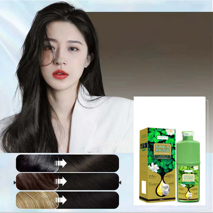 🔥Limited Time Promotion 50% OFF💇‍♀️Long‑Lasting Plant‑Based Foam Hair Dye｜Ammonia‑Free Easy DIY At‑Home Foam Hair Color